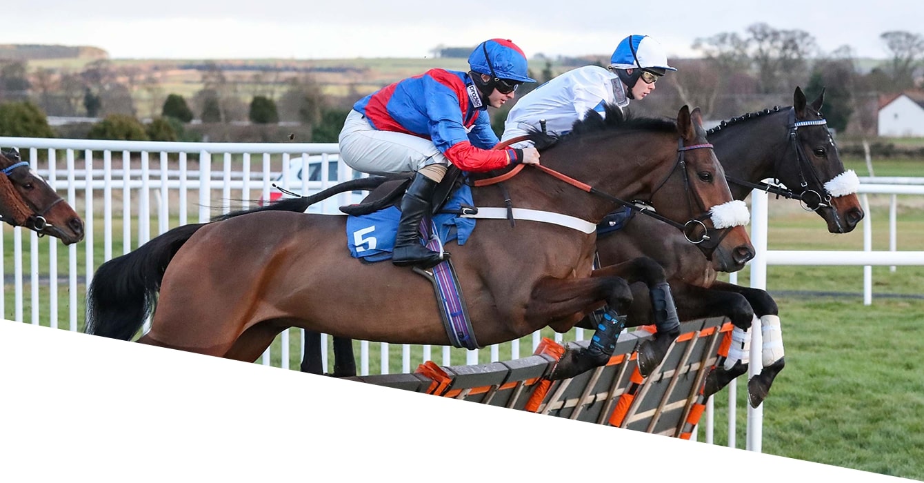 Warren Greatrex Racing National Hunt Racehorse Trainer based in Lambourn